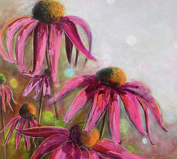 Echinacea 2