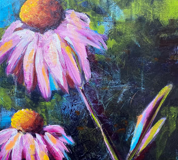 Echinacea
